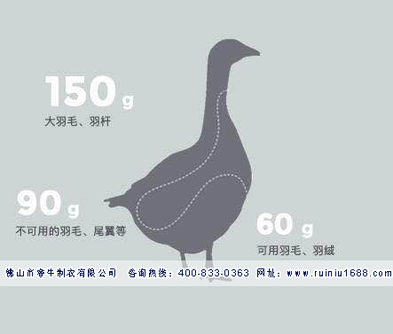 微信圖片_20180604164221.jpg 微信圖片_20180604164221.jpg