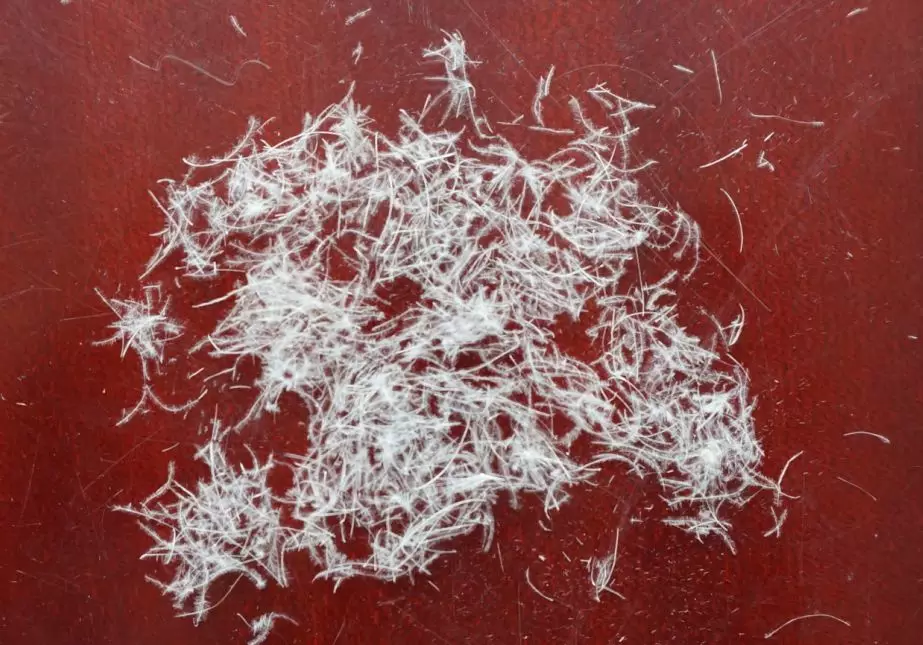 微信圖片_20180817160936.png 微信圖片_20180817160936.png