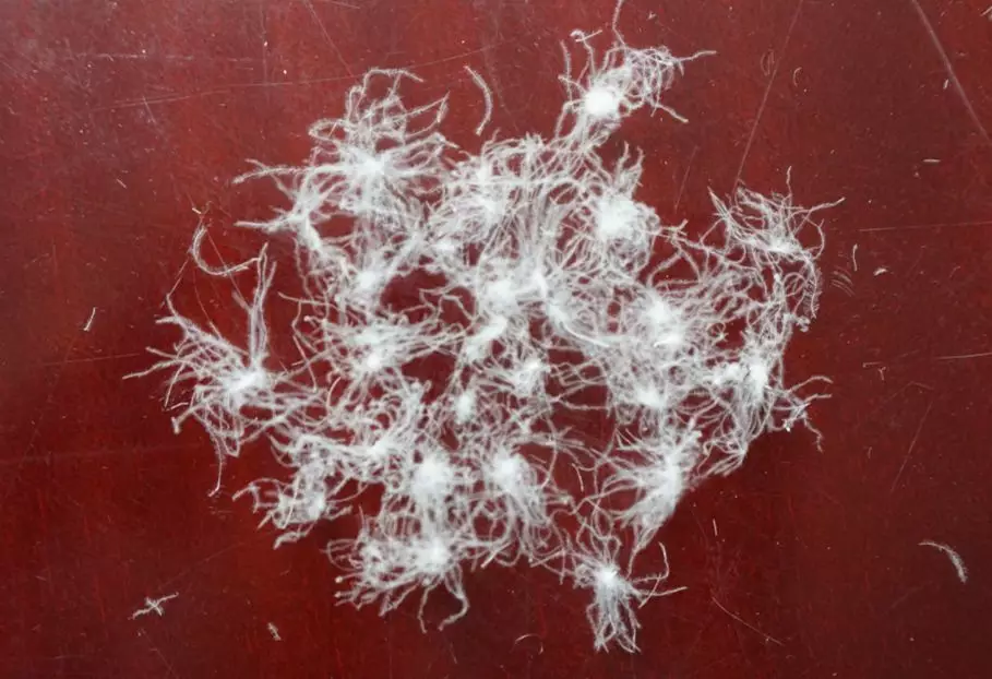 微信圖片_20180817160939.png 微信圖片_20180817160939.png