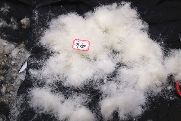 劣質羽絨.jpg 劣質羽絨.jpg